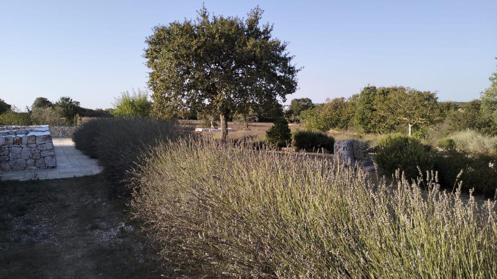 Trullo Dimora Podere Papilio Noci Exterior foto